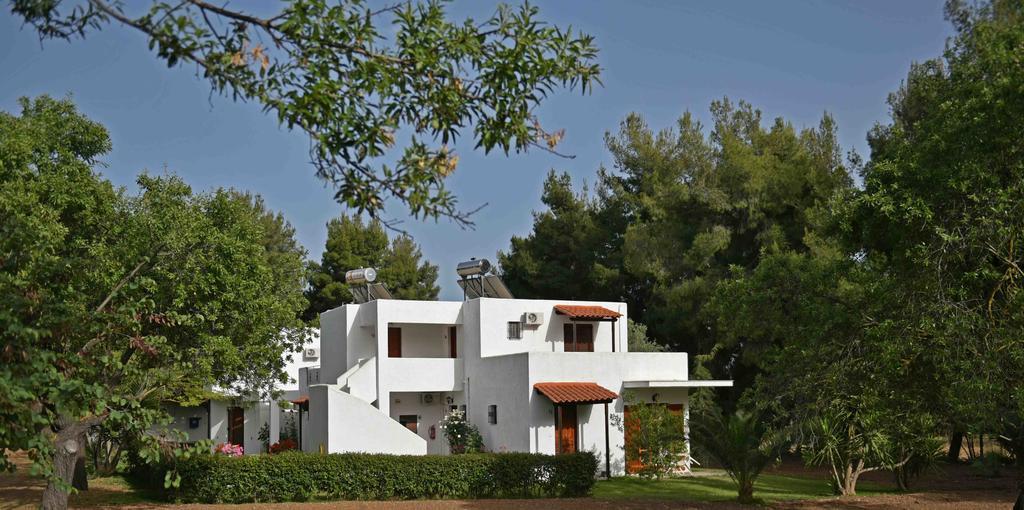 Apartmán Park *