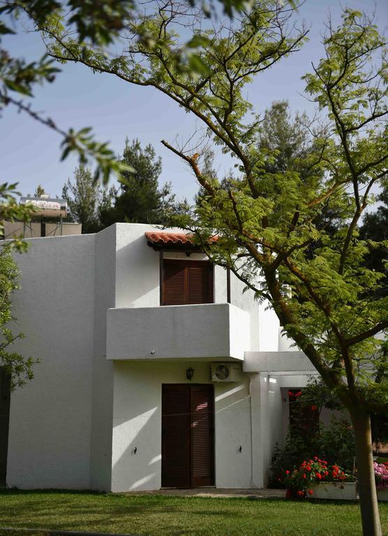 Apartmán Park Erétria